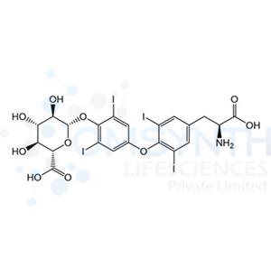 L-Thyroxine Glucuronide