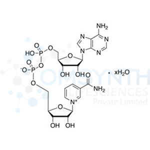 β-Nicotinamide Adenine Dinucleotide